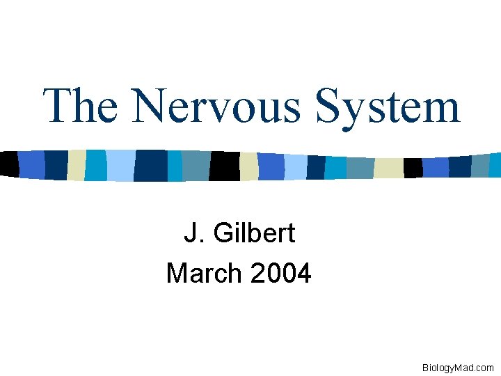 The Nervous System J. Gilbert March 2004 Biology. Mad. com 