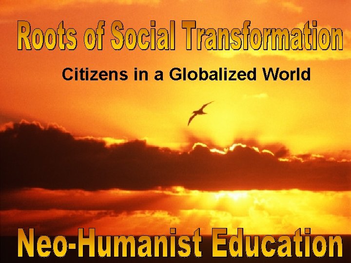 Citizens in a Globalized World 