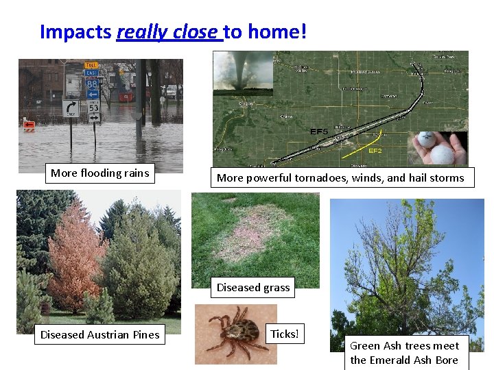 Impacts really close to home! More flooding rains More powerful tornadoes, winds, and hail Impacts really close to home! More flooding rains More powerful tornadoes, winds, and hail