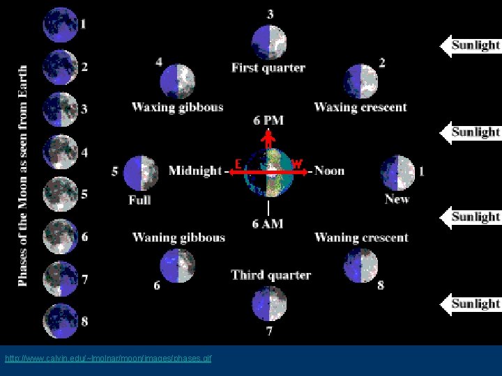 http: //www. calvin. edu/~lmolnar/moon/images/phases. gif http: //www. calvin. edu/~lmolnar/moon/images/phases. gif