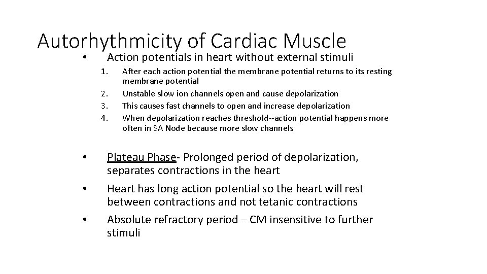 Autorhythmicity of Cardiac Muscle • Action potentials in heart without external stimuli 1. 2.