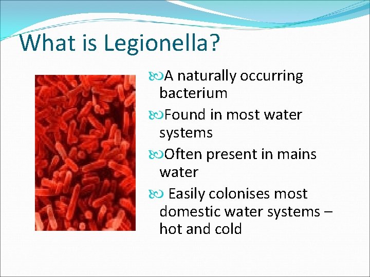 What is Legionella? A naturally occurring bacterium Found in most water systems Often present