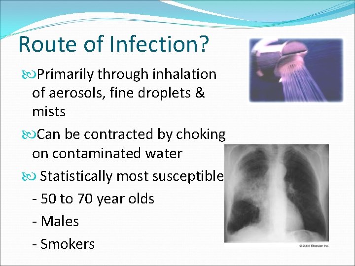 Route of Infection? Primarily through inhalation of aerosols, fine droplets & mists Can be