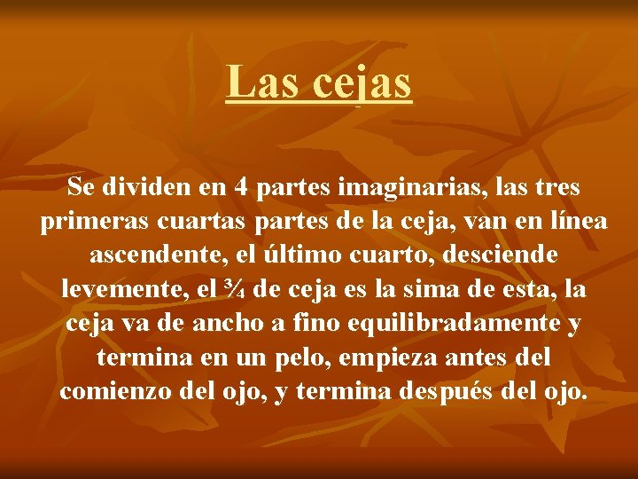 Las cejas Se dividen en 4 partes imaginarias, las tres primeras cuartas partes de