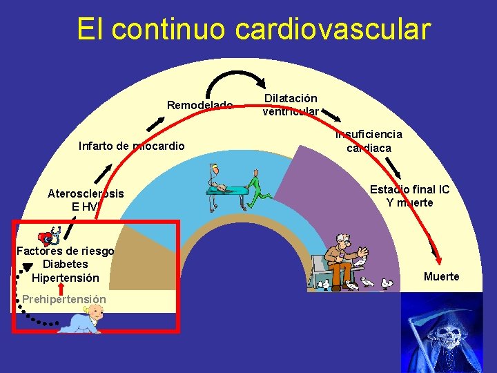 El continuo cardiovascular Remodelado Infarto de miocardio Aterosclerosis E HVI Factores de riesgo Diabetes