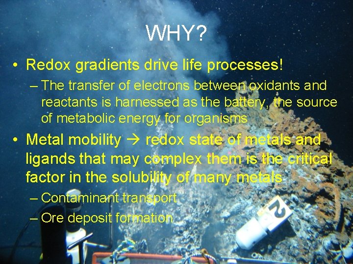 WHY? • Redox gradients drive life processes! – The transfer of electrons between oxidants