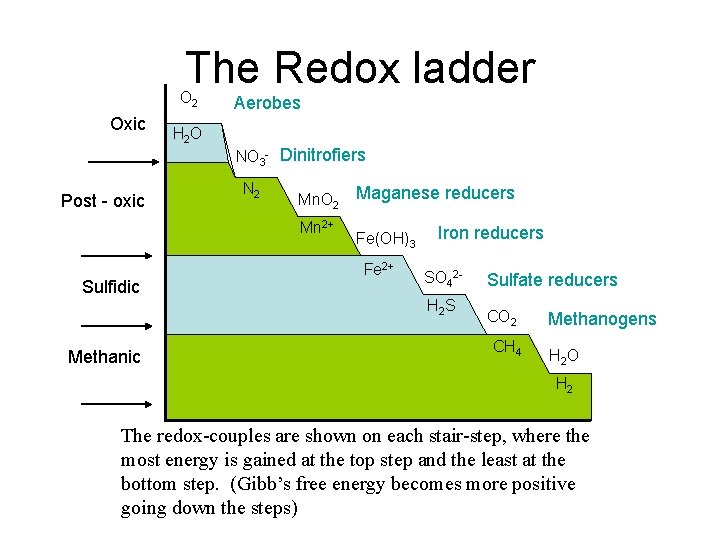 The Redox ladder O 2 Oxic Post - oxic H 2 O Aerobes NO