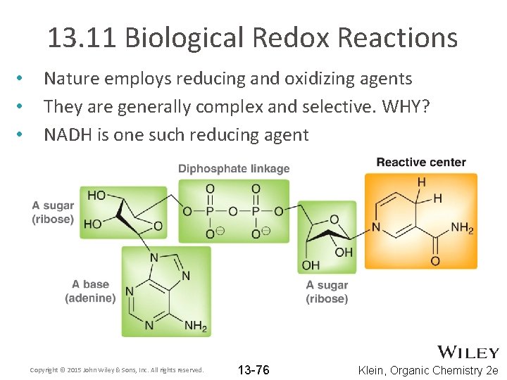 13. 11 Biological Redox Reactions • • • Nature employs reducing and oxidizing agents