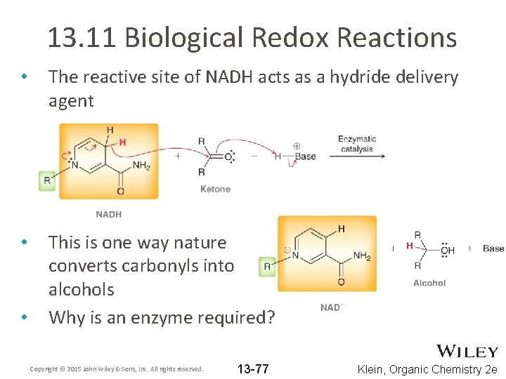 13. 11 Biological Redox Reactions • The reactive site of NADH acts as a