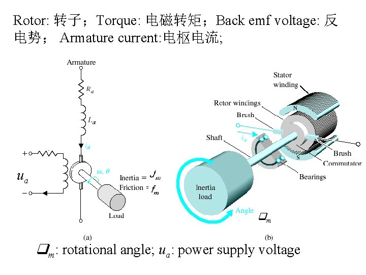 Rotor: 转子；Torque: 电磁转矩；Back emf voltage: 反 电势； Armature current: 电枢电流; ua m m: rotational