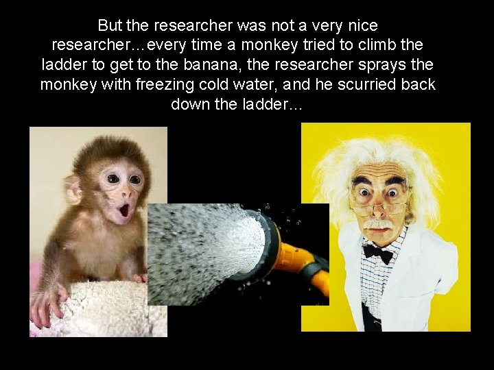But the researcher was not a very nice researcher…every time a monkey tried to But the researcher was not a very nice researcher…every time a monkey tried to