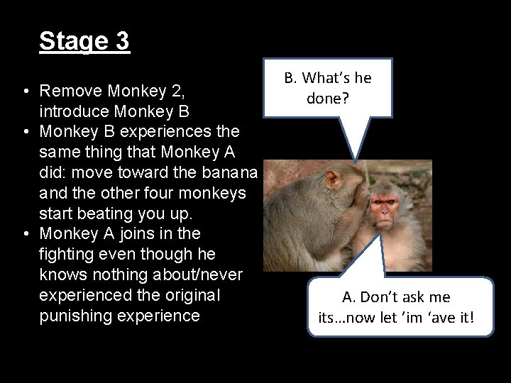 Stage 3 • Remove Monkey 2, introduce Monkey B • Monkey B experiences the Stage 3 • Remove Monkey 2, introduce Monkey B • Monkey B experiences the