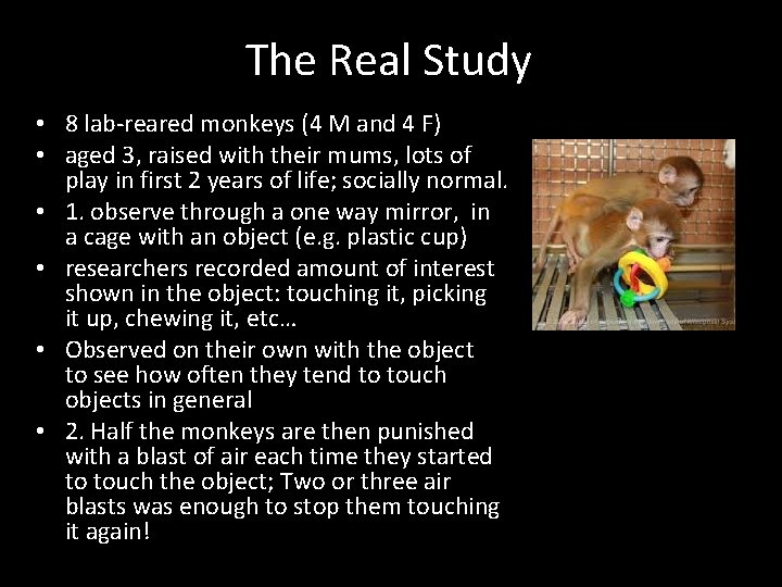 The Real Study • 8 lab-reared monkeys (4 M and 4 F) • aged The Real Study • 8 lab-reared monkeys (4 M and 4 F) • aged