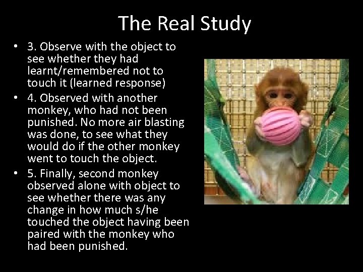 The Real Study • 3. Observe with the object to see whether they had The Real Study • 3. Observe with the object to see whether they had