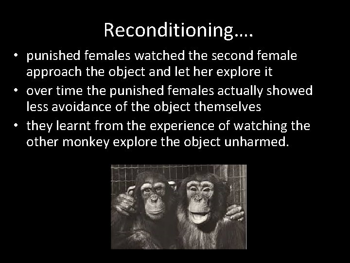 Reconditioning…. • punished females watched the second female approach the object and let her Reconditioning…. • punished females watched the second female approach the object and let her