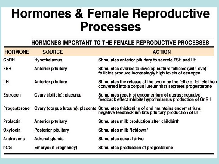 Ormoni e riproduzione nella femmina 