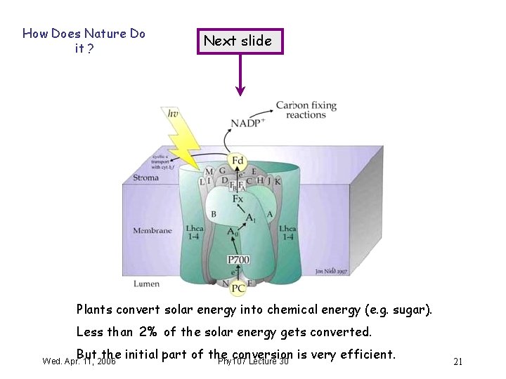 How Does Nature Do it ? Next slide Plants convert solar energy into chemical