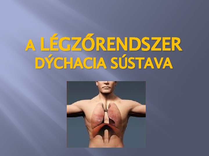 A LÉGZŐRENDSZER DÝCHACIA SÚSTAVA 