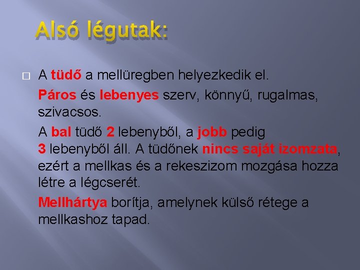 Alsó légutak: � A tüdő a mellüregben helyezkedik el. Páros és lebenyes szerv, könnyű,