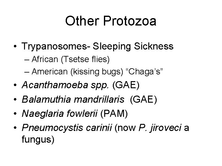 Other Protozoa • Trypanosomes- Sleeping Sickness – African (Tsetse flies) – American (kissing bugs)
