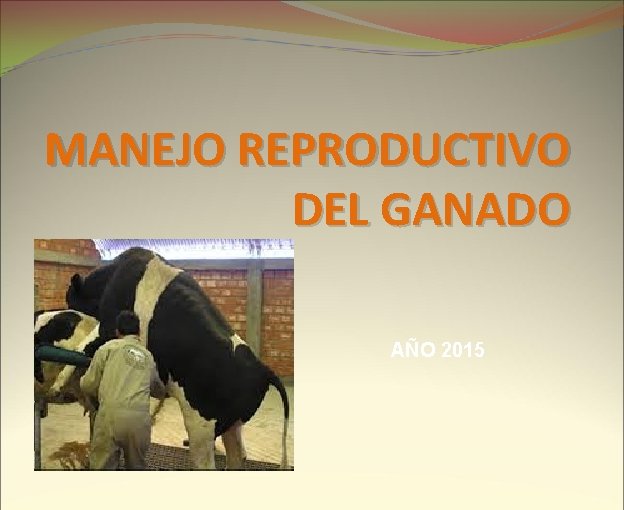 MANEJO REPRODUCTIVO DEL GANADO AÑO 2015 