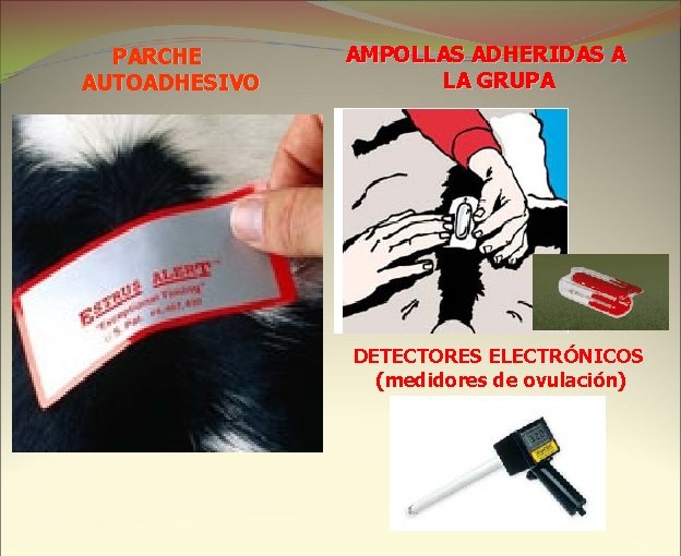 PARCHE AUTOADHESIVO AMPOLLAS ADHERIDAS A LA GRUPA DETECTORES ELECTRÓNICOS (medidores de ovulación) 