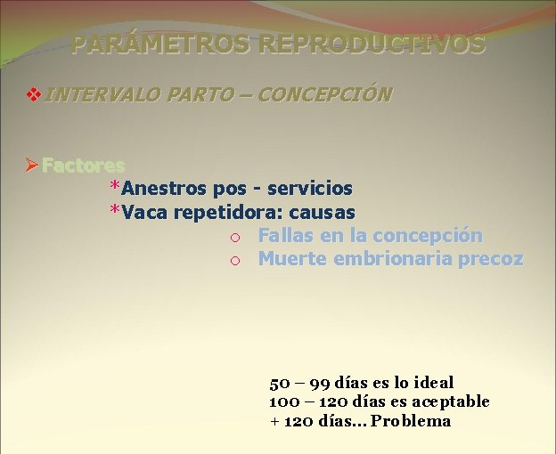 PARÁMETROS REPRODUCTIVOS v. INTERVALO PARTO – CONCEPCIÓN ØFactores *Anestros pos - servicios *Vaca repetidora: