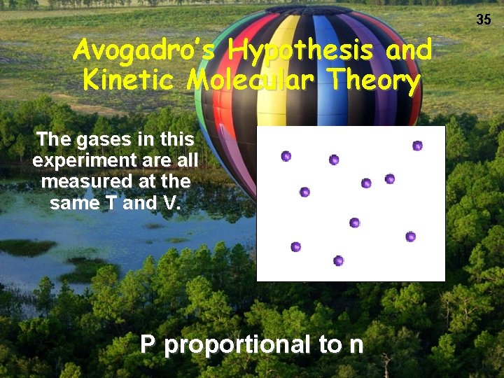 Avogadro’s Hypothesis and Kinetic Molecular Theory The gases in this experiment are all measured