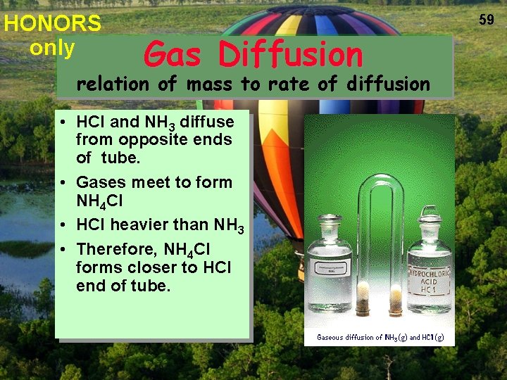 HONORS only Gas Diffusion relation of mass to rate of diffusion • HCl and