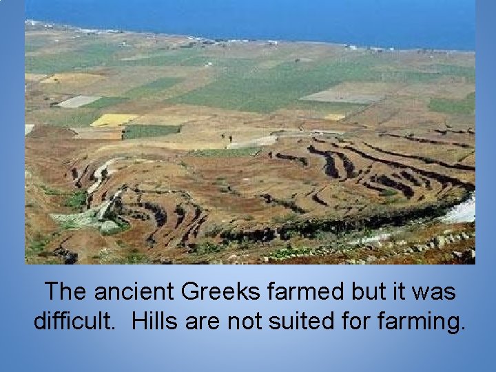 The ancient Greeks farmed but it was difficult. Hills are not suited for farming.
