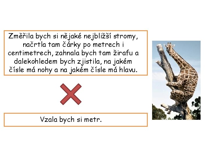 Změřila bych si nějaké nejbližší stromy, načrtla tam čárky po metrech i centimetrech, zahnala