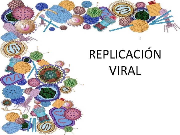 REPLICACIÓN VIRAL 