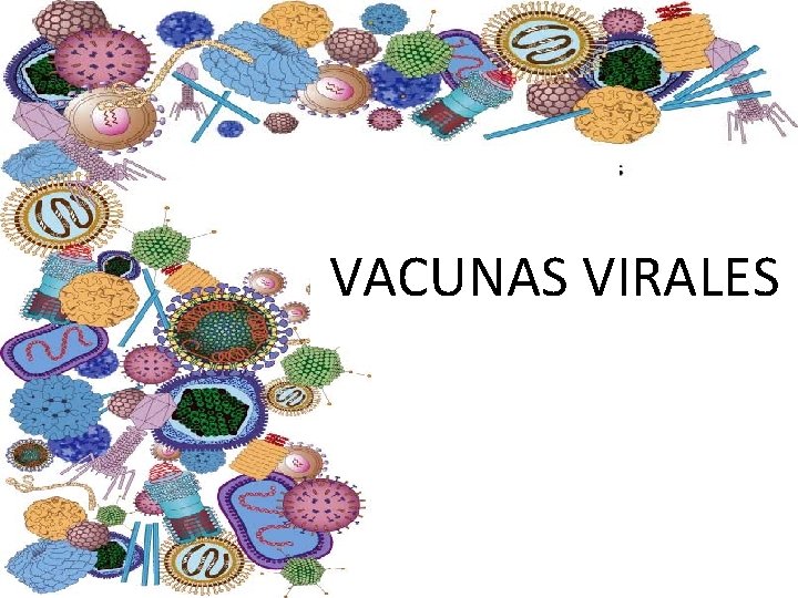 VACUNAS VIRALES 