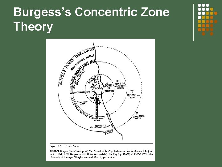 Burgess’s Concentric Zone Theory 