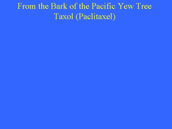 From the Bark of the Pacific Yew Tree Taxol (Paclitaxel) 