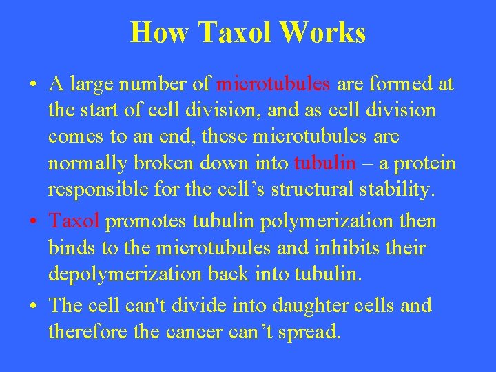 How Taxol Works • A large number of microtubules are formed at the start