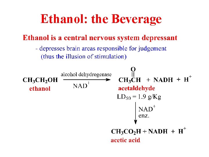 Ethanol: the Beverage 