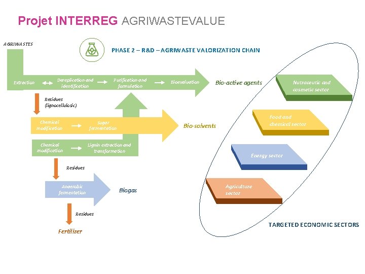 Projet INTERREG AGRIWASTEVALUE AGRIWASTES Extraction PHASE 2 – R&D – AGRIWASTE VALORIZATION CHAIN Dereplication