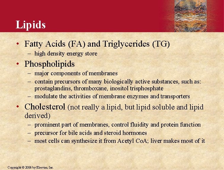 Lipids • Fatty Acids (FA) and Triglycerides (TG) – high density energy store •