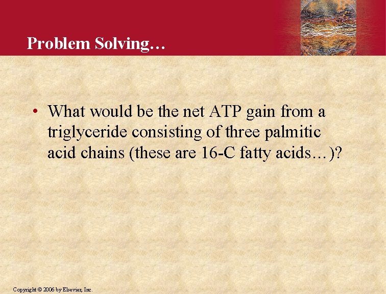 Problem Solving… • What would be the net ATP gain from a triglyceride consisting