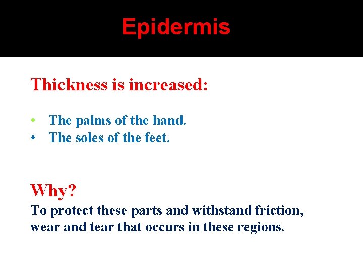 Epidermis Thickness is increased: The epidermis is generally thin except in : • The