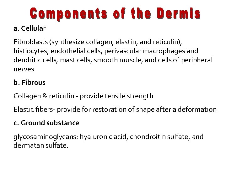 a. Cellular Fibroblasts (synthesize collagen, elastin, and reticulin), histiocytes, endothelial cells, perivascular macrophages and