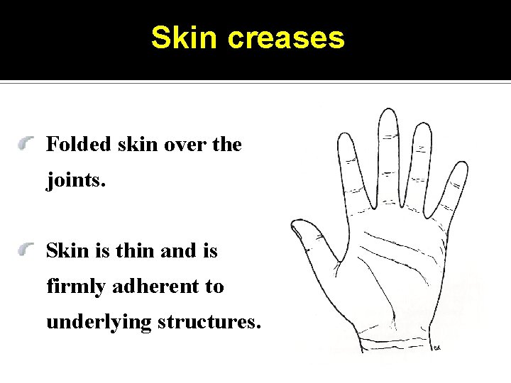 Skin creases Folded skin over the joints. Skin is thin and is firmly adherent