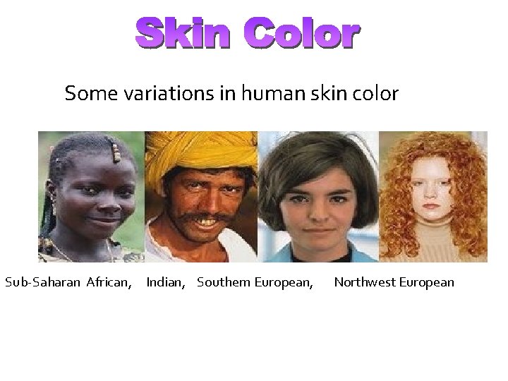 Some variations in human skin color Sub-Saharan African, Indian, Southern European, Northwest European 