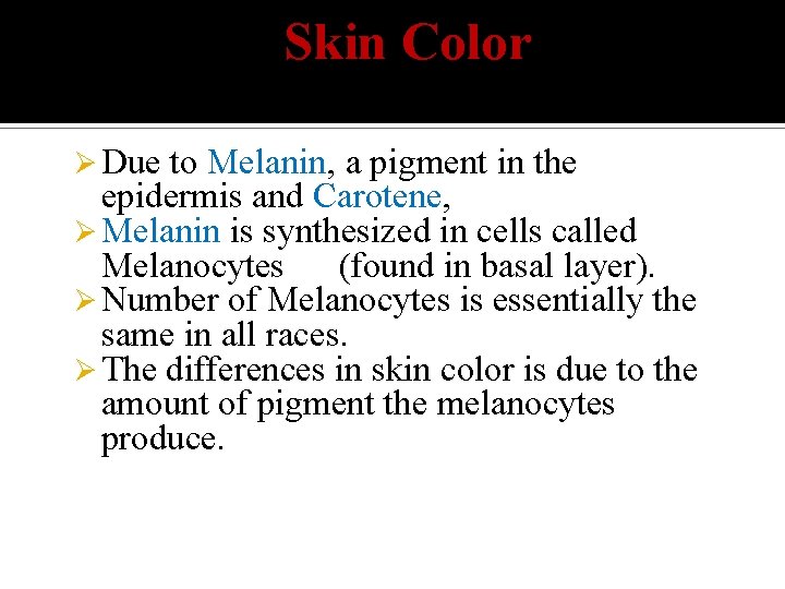 Skin Color Ø Due to Melanin, a pigment in the epidermis and Carotene, Ø