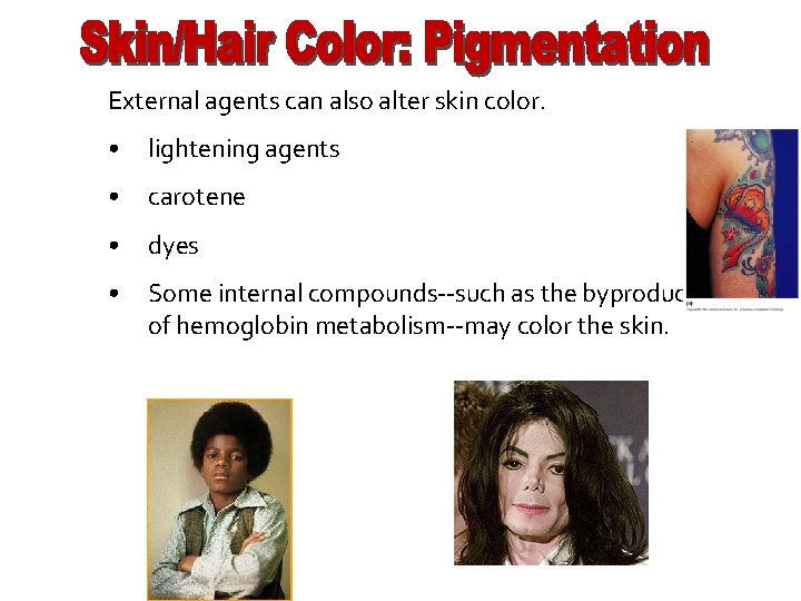 External agents can also alter skin color. • lightening agents • carotene • dyes