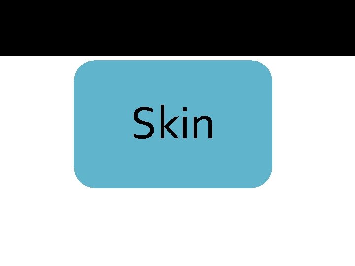 Skin 