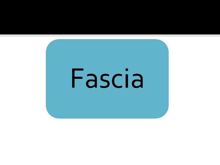 Fascia 