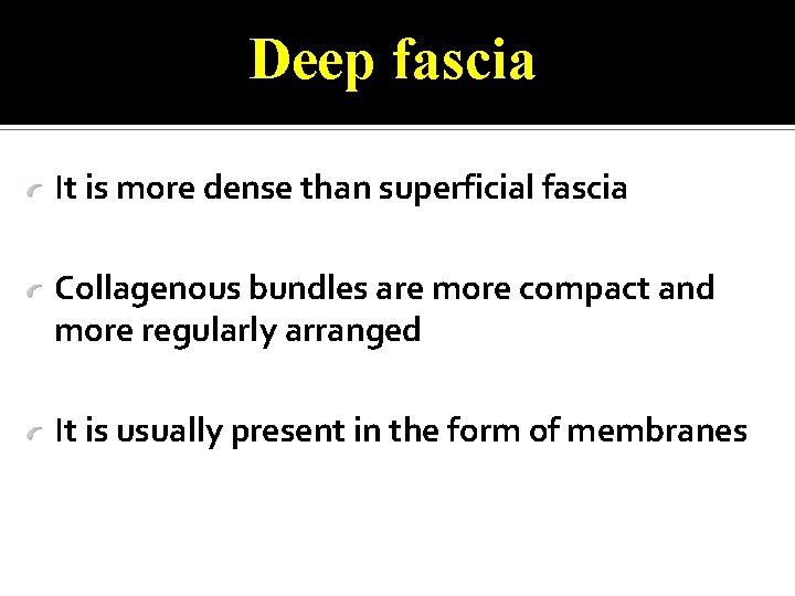 Deep fascia It is more dense than superficial fascia Collagenous bundles are more compact