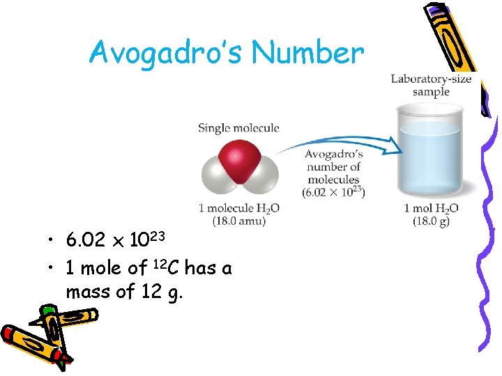 Avogadro’s Number • 6. 02 x 1023 • 1 mole of 12 C has